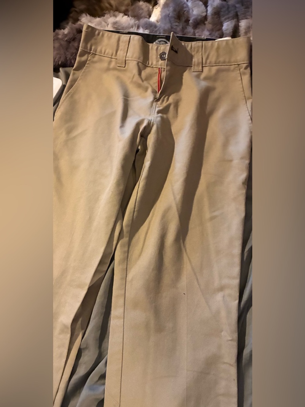 Never been worn NWT Tan Dickies Cargo 28x32